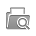 File, zoom Gray icon