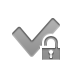 Lock, checkmark, open Gray icon