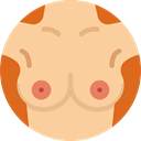 Human Body, Breast, Female, woman, Body Parts, Bust NavajoWhite icon