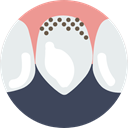 mouth, Teeth, medical, Dentist, dental Lavender icon