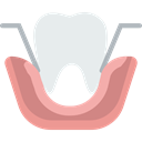 medical, Extraction, dental, Teeth, mouth, molar, Dentist Lavender icon