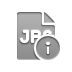 Info, jpg, File, Format Icon