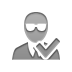 checkmark, Agent Gray icon