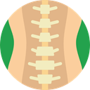 Bones, Body Parts, Anatomy, Spinal Column, medical BurlyWood icon
