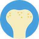 Body Parts, medical, Anatomy, Bone CornflowerBlue icon