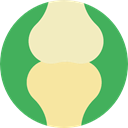 Articulation, Body Parts, joint, Bones, medical, Anatomy MediumSeaGreen icon