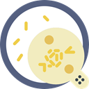 Bacteria, education, medical, Biology, virus, science Bisque icon