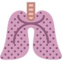 Anatomy, Breath, organ, Lung, Lungs, medical Plum icon