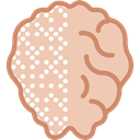 medical, Brain, Body Part, Human Brain, Body Organ, people Wheat icon