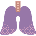 medical, Breath, Anatomy, Lung, organ, Lungs LightSlateGray icon