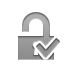 checkmark, Lock, open Icon