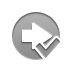 Arrow, right, checkmark Gray icon