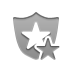 star, security DarkGray icon
