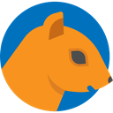 Animals, Animal Kingdom, squirrel, wildlife, mammal, zoo DarkOrange icon