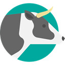 mammal, zoo, cow, Animal Kingdom, wildlife, Animals DimGray icon