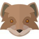 wolf, Animal Kingdom, zoo, Animals, wildlife RosyBrown icon