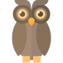 owl, zoo, Animals, Animal Kingdom, wildlife Gray icon