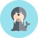 wildlife, zoo, Animal Kingdom, Animals, walrus LightBlue icon