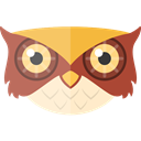 wildlife, Animals, Animal Kingdom, owl, zoo Black icon