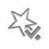 wizard, checkmark Gray icon