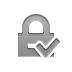 Lock, checkmark Gray icon