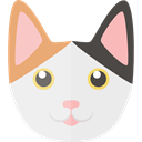 Animals, domestic, Feline, Breed, kitty, Japanese Bobtail, Animal Kingdom, Cat WhiteSmoke icon