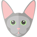 domestic, kitty, Feline, Sphynx Cat, Breed, Animal Kingdom, Animals, Cat Silver icon