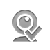 Webcam, checkmark Gray icon