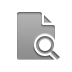 document, zoom Icon