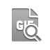 File, Gif, Format, zoom Icon