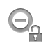 open, out, Lock, zoom Icon