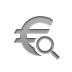zoom, sign, Euro, Currency Gray icon