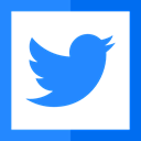 social media, twitter, logotype, social network, Logos, Logo DodgerBlue icon
