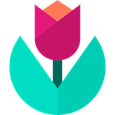 nature, Botanical, blossom, Tulip, garden, Flower DarkTurquoise icon