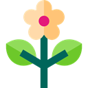 blossom, petals, nature, Poppy, Flower, Botanical Black icon