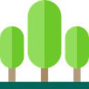 Forest, garden, trees, yard, Pine, Botanical, nature YellowGreen icon