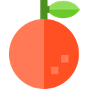 Fruit, Orange, diet, vegetable, food, Healthy Food, organic, vegan, vegetarian Coral icon