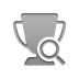 zoom, trophy DarkGray icon
