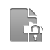 transfer, Lock, File, open DarkGray icon
