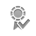 checkmark, Certificate Gray icon