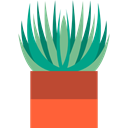 nature, Botanical, Aloe, plant Black icon