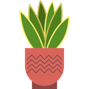 nature, Botanical, Cactus, Dessert, dry, plant Black icon