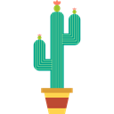 Cactus, nature, Dessert, Botanical, plant, dry Black icon