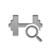 weight, zoom Gray icon