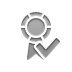 Certificate, checkmark Gray icon