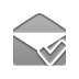 open, checkmark, envelope Gray icon