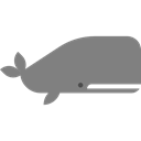 Aquarium, Animals, Sea Life, whale, Aquatic, Animal Gray icon