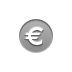Euro, coin DarkGray icon