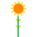 Flower, blossom, petals, nature, sunflower, Botanical Black icon
