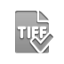 Format, checkmark, File, Tiff Gray icon